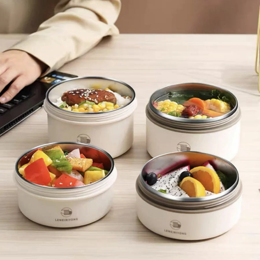 Portable Insulated Lunch Box